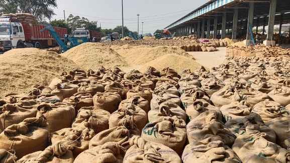 fathebad News, Crop Arrival