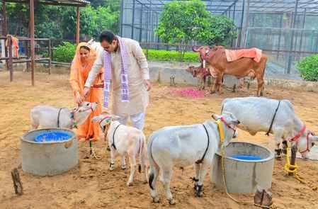 CM Bhajanlal Sharma Performs Cow Worship on Gopashtami, Prays for State’s Prosperity
