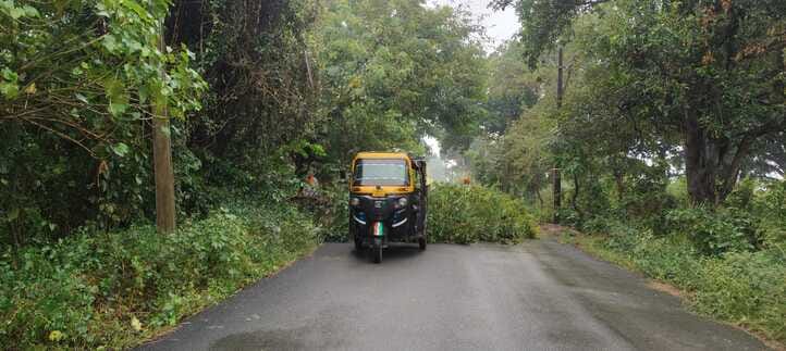 Tree falls on auto on Mahuli-Hariharpur road, all passengers safe