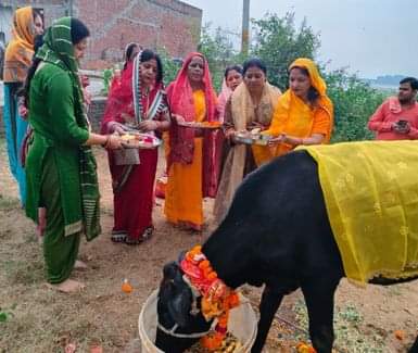 मोहल्ला आनंदपुरम कॉलोनी में गोपाष्टमी के असर गोपूजन करतीं महिलाएं। स्रोत: जागरूक पाठक