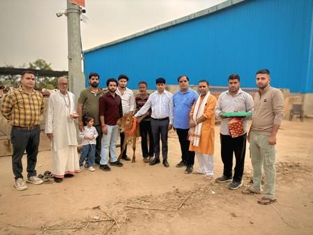 Wishing for the welfare of all with the worship of cows