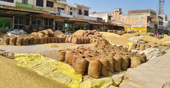 Teams to inspect paddy and stock allocated to 175 rice mills
