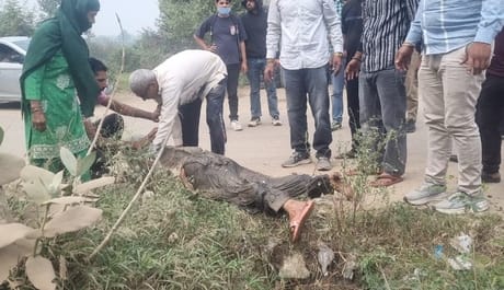 Elderly couple riding a bike fell into a drain