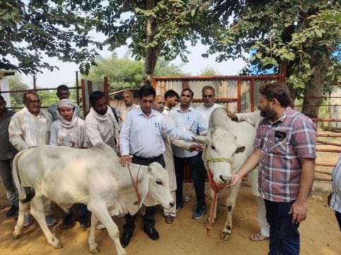 SDM inspected the cowshed