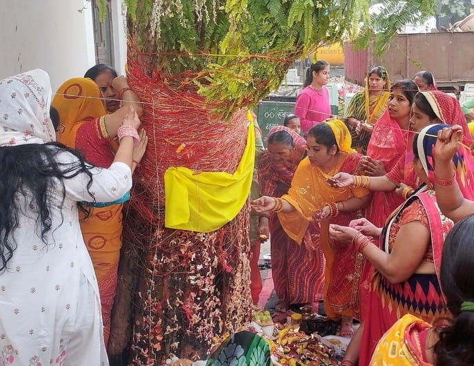 Worshiping the Amla tree, Lord Vishnu is asked for happiness and prosperity.