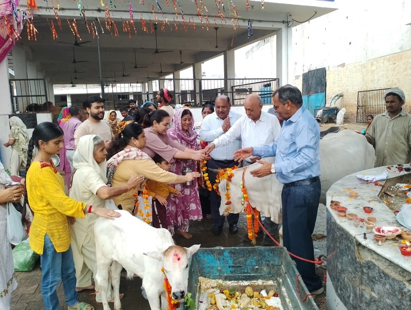 On Gopashtami, 56 offerings were made and the cow was worshipped.