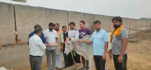 The oath of protection was taken along with the worship of cows.
