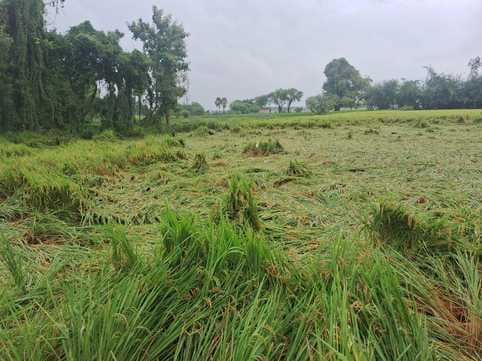 20 mm of rain in 36 hours, sometimes slow and sometimes heavy