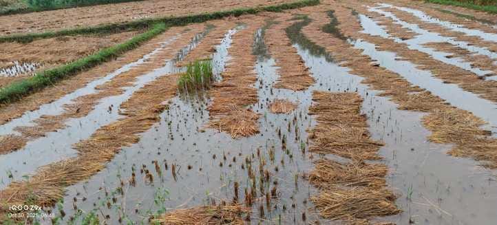 135 millimeters of rain in three days, the highest rainfall in October in 15 years with 271.5 mm