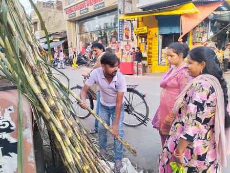 Today is Devuthani Ekadashi, sugarcane sales are in full swing.