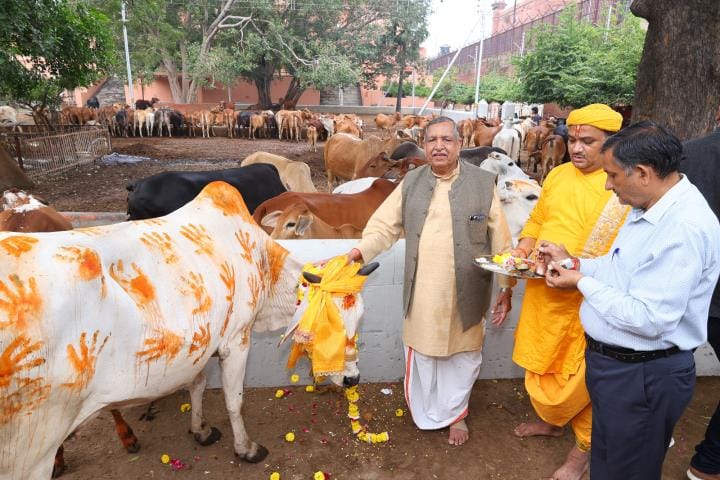 Cow worship took place at the birthplace of Lord Krishna on the occasion of Gopashtami.