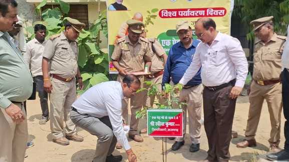 The saplings planted by the DM and CDO have disappeared from the DIET premises