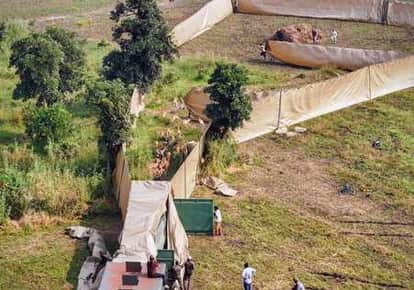 Damoh News: First-Ever Helicopter Rescue Operation, 153 Blackbucks Released in Durgavati Tiger Reserve