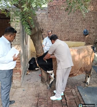 The department woke up after the death of animals, set up a camp and provided medicine.