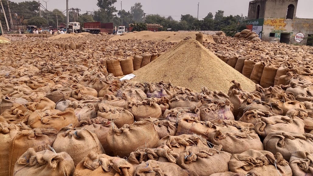 The market is crowded with the rapid arrival of Basmati rice, heaps are being seen outside