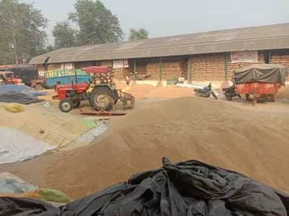 Haryana paddy scam Recovery notices issued to mill owners involved in irregularities