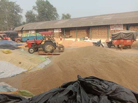 Haryana paddy scam Recovery notices issued to mill owners involved in irregularities