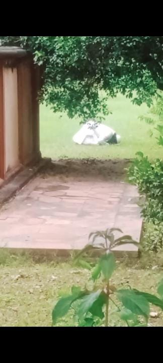 Despite the ban, people offered namaz at Taj Mahal; video goes viral