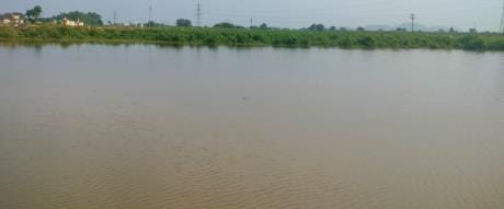 Rains have submerged crops, leaving farmers staring at the prospect of compensation.