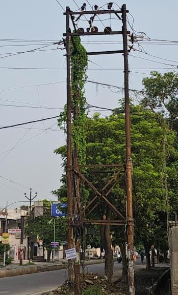 LDA spends Rs 63.66 lakh, Public Works Department obstructs beautification