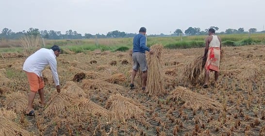 Had done farming by taking loan, rain ruined crop and washed away desires