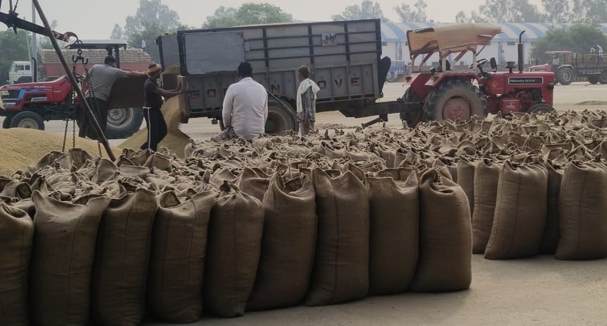 Paddy procurement work in Rajound Mandi is in its final stage.