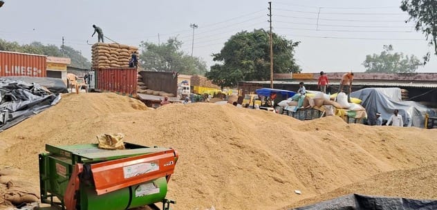 Government procurement centers are proving to be a profitable deal for coarse rice producers.