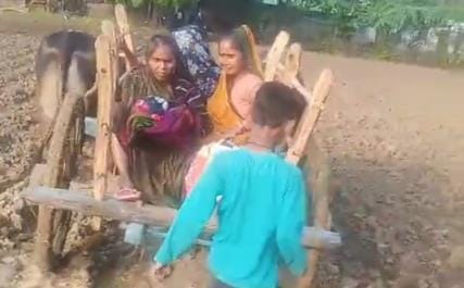 Due to the lack of a road, the pregnant woman had to be taken by bullock cart, covering a distance of three kilometers.
