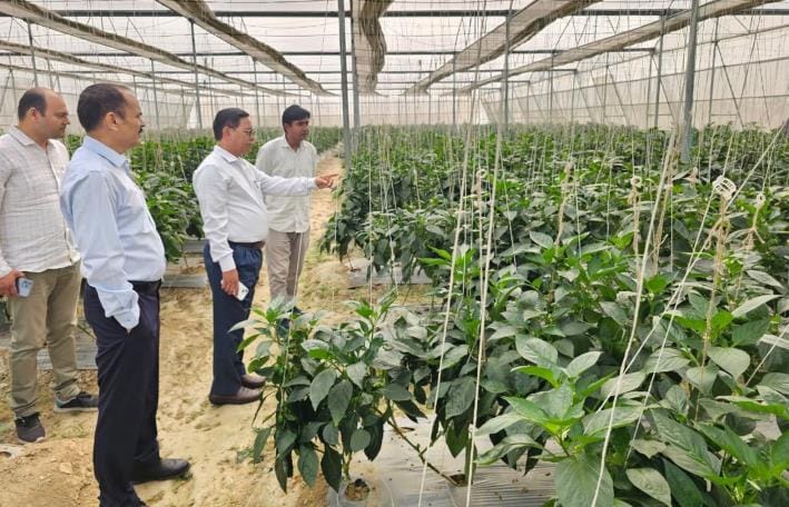 Per Drop More Crop Irrigation System is leading to better farming at low cost