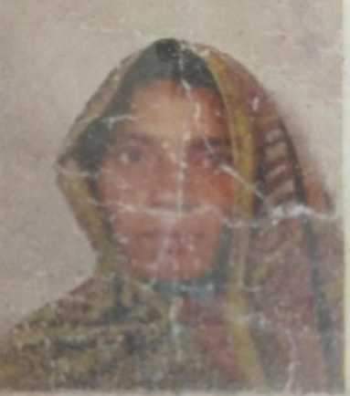 फोटो- 22 गोरी बाई। फाइल फोटो।