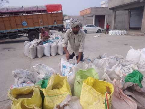 Farmers are forced to sell millet at low prices.