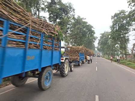 Vehicles lined up outside the Guleria sugar mill
