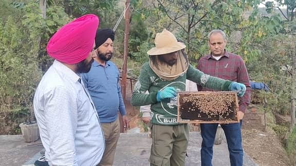 पुंछ के गांव साथरा में मधू मक्खी पालन से अच्छी आर्य अर्जित करने वाले किसान मोहम्मद फारूक के शहद