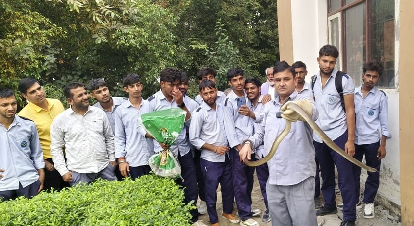 Snakeman Satish caught the snake found in ITI.