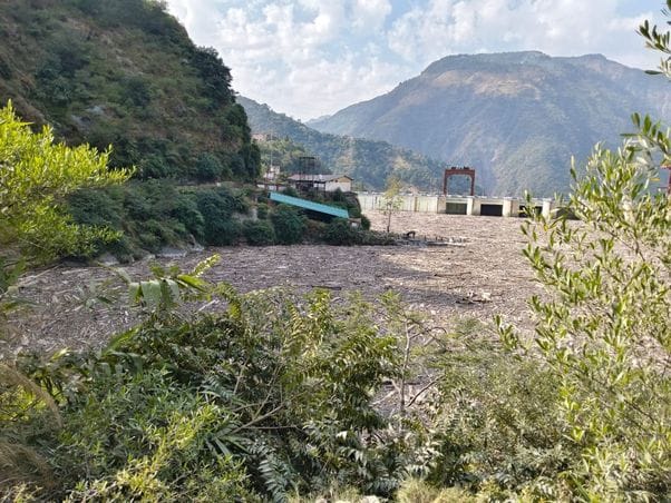 Chamera dam filled with wood for two months, department doesn't care