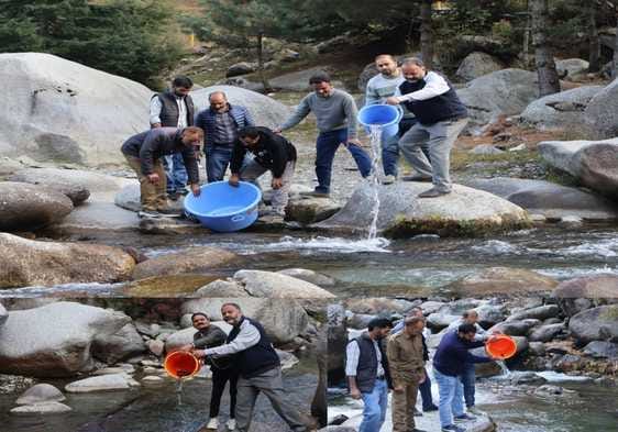 Srinagar, Fishry Department, Brown Trout, Store