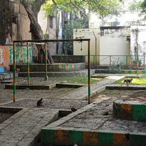 City park is in poor condition due to lack of cleanliness, swings also broken