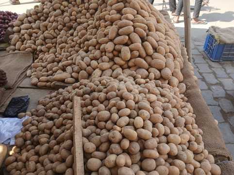 Due to lack of arrival of new potatoes, farmers withdrew from export.