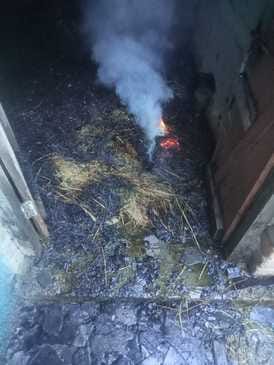 Cowshed gutted in Porla village due to short circuit