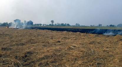 Case filed against farmer for burning stubble