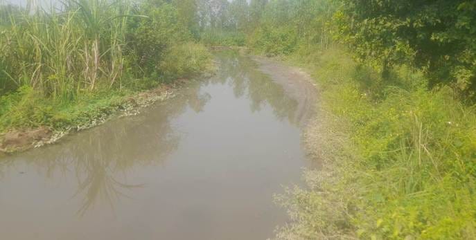 Pond water on the road, people are getting troubled