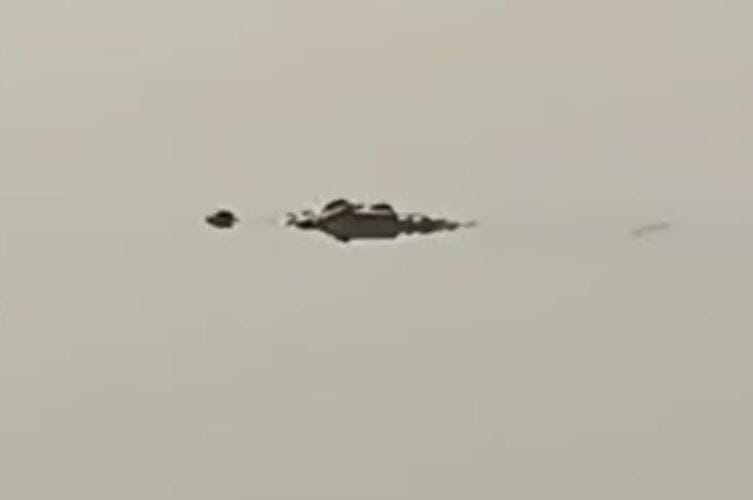 Crocodile seen swimming in Yamuna, villagers panicked