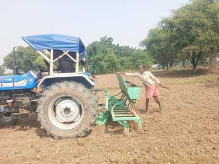 Farming Delayed wheat sowing reduces yield by up 50 kg per day tips given to farmers