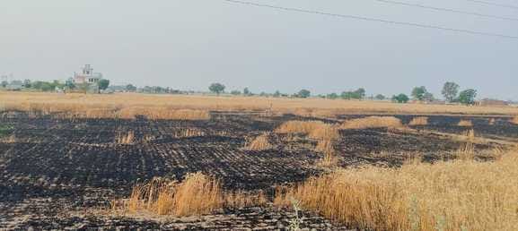 Farmers angry over not receiving compensation for wheat crop burnt due to short-circuit