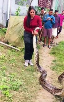 A ten-foot-long python was rescued and released into the wild