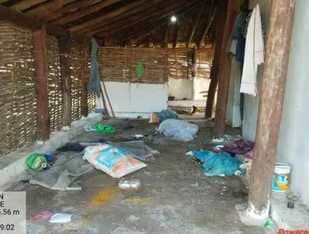 A herd of elephants from Chhattisgarh returned to Mandla, damaging crops and camps.