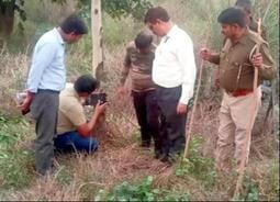 Preparations underway to tranquilize the tiger