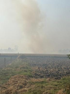 Case filed against 15 farmers for burning crop residue