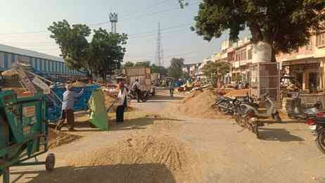 Arrival of Parmal decreased in grain markets, purchase of Basmati rice increased.