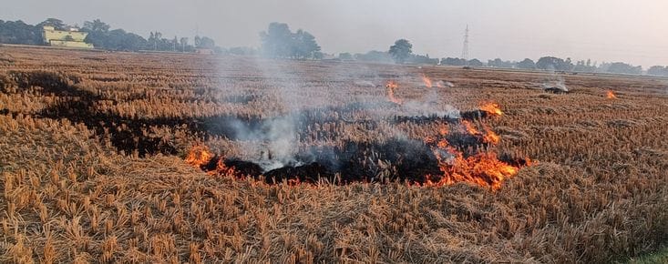Haryana officials tighten their grip: 9 farmers arrested for stubble burning; Jind and Narwana SDM